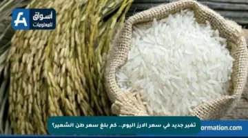 تغير جديد في سعر الأرز اليوم.. كم بلغ سعر طن الشعير؟